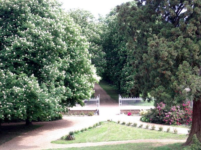 Au Chateau De Montbraye Parigné-lʼÉvêque Exterior foto